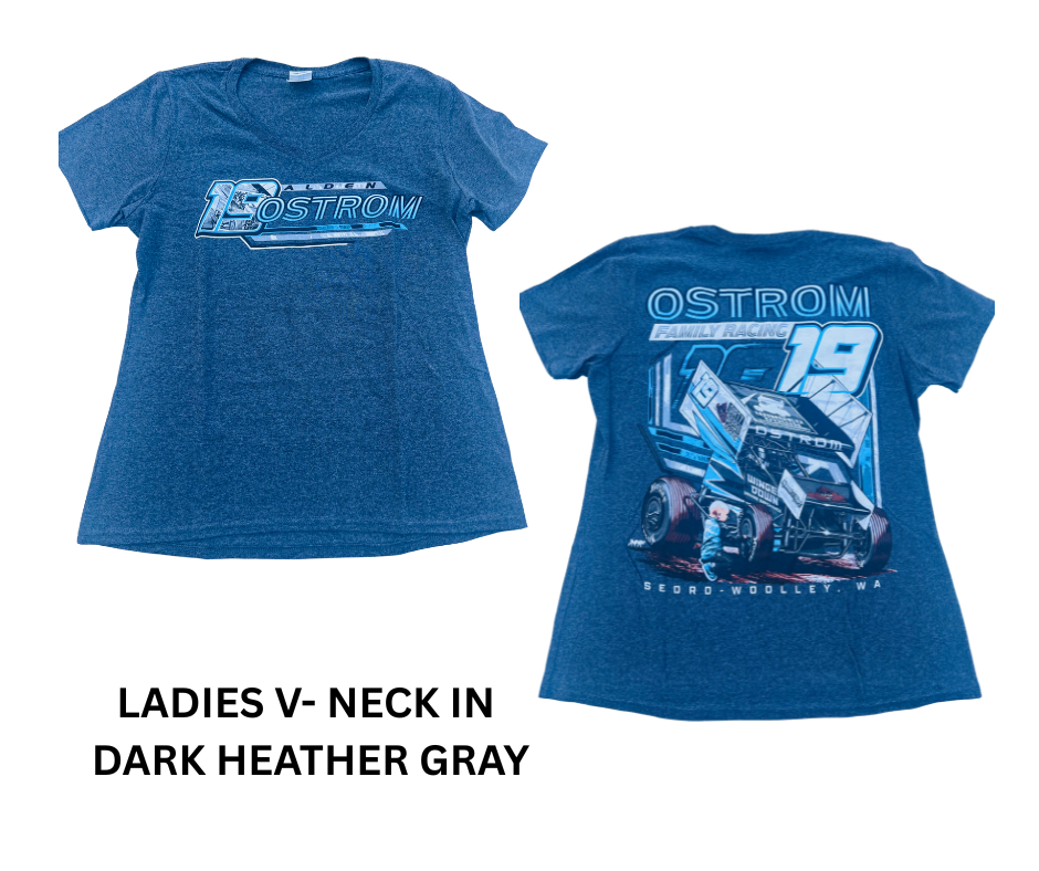 Ostrom V-Neck (Heather Gray)
